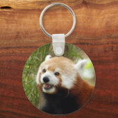 rot-panda-033 schlüsselanhänger (Vorderseite)