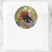 rot-panda-039 runder aufkleber (Tasche)