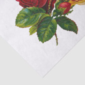 Rot, Pfirsich und Rosen Seidenpapier (Ausschnitt)