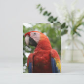 Rot Postkarte (Stehend Vorderseite)