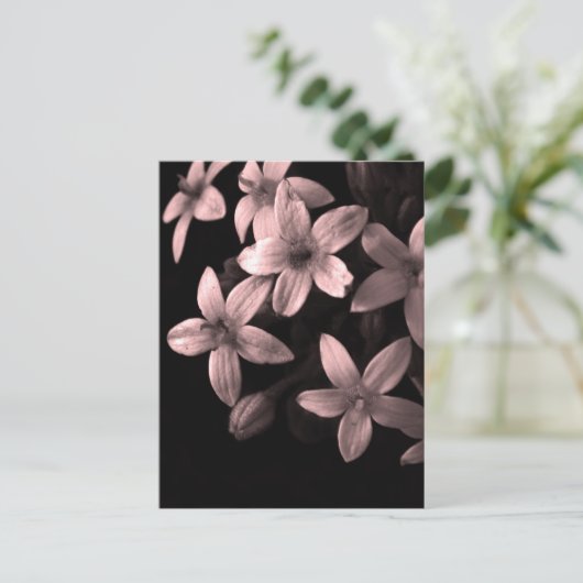 rot postkarte (Stehend Vorderseite)