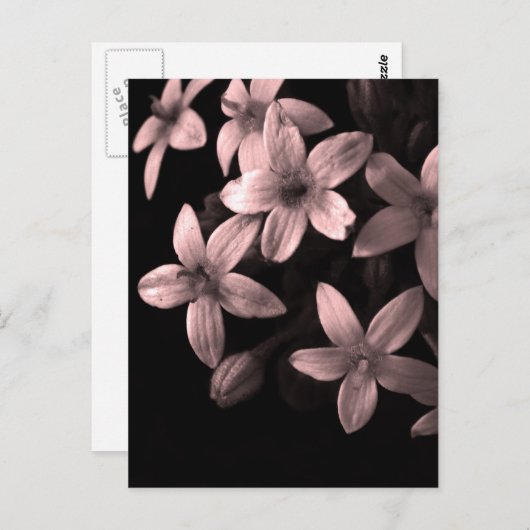 rot postkarte (Vorne/Hinten)