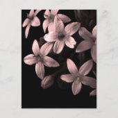 rot postkarte (Vorderseite)