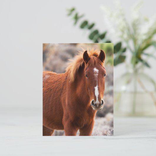 Rot Postkarte (Stehend Vorderseite)