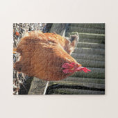 Rot Puzzle (Horizontal)