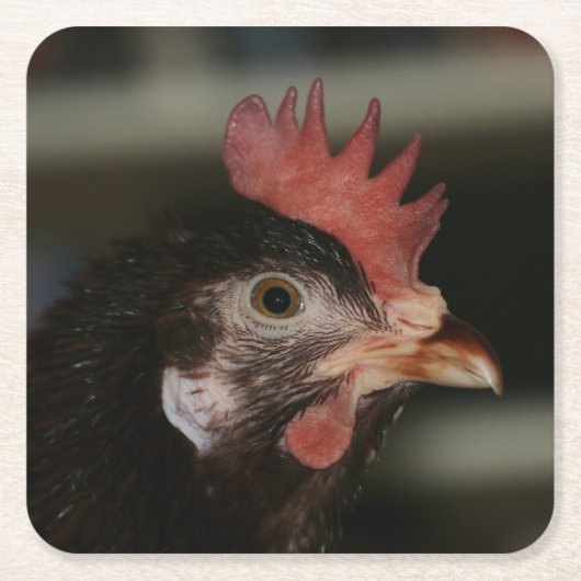 Rot Rechteckiger Pappuntersetzer (Vorderseite)