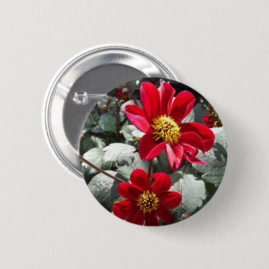 Rot-Rosa-Disy / Gänseblümchen Blume Button (Vorne & Hinten)