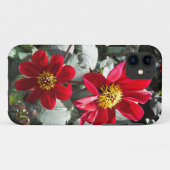 Rot-Rosa-Disy / Gänseblümchen Blume Case-Mate iPhone Hülle (Rückseite (Horizontal))