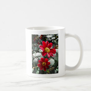 Rot-Rosa-Disy / Gänseblümchen Blume Kaffeetasse