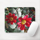 Rot-Rosa-Disy / Gänseblümchen Blume Mousepad (Mit Mouse)
