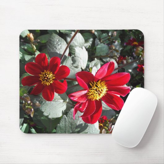 Rot-Rosa-Disy / Gänseblümchen Blume Mousepad (Mit Mouse)