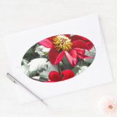 Rot-Rosa-Disy / Gänseblümchen Blume Ovaler Aufkleber (Umschlag)