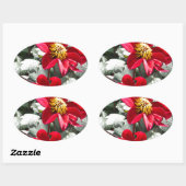 Rot-Rosa-Disy / Gänseblümchen Blume Ovaler Aufkleber (Blatt)