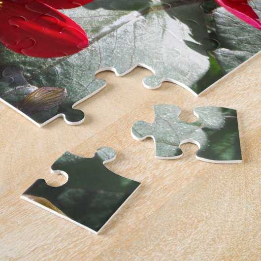 Rot-Rosa-Disy / Gänseblümchen Blume Puzzle (Seite)