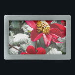 Rot-Rosa-Disy / Gänseblümchen Blume Rechteckige Gürtelschnalle<br><div class="desc">Rot-Rosa-Disy / Gänseblümchen Blume</div>