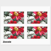 Rot-Rosa-Disy / Gänseblümchen Blume Rechteckiger Aufkleber (Blatt)