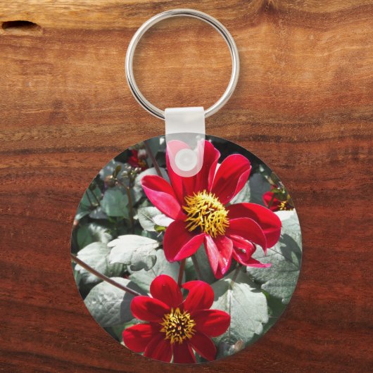 Rot-Rosa-Disy / Gänseblümchen Blume Schlüsselanhänger (Vorderseite)