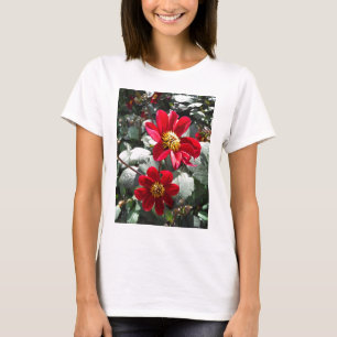 Rot-Rosa-Disy / Gänseblümchen Blume T-Shirt