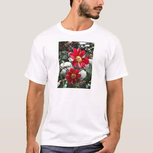 Rot-Rosa-Disy / Gänseblümchen Blume T-Shirt (Vorderseite)