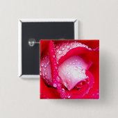 Rot/rosa Tau-Geküsste Rose Button (Vorne & Hinten)