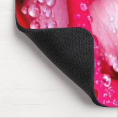 Rot/rosa Tau-Geküsste Rose Mousepad (Ecke)