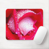 Rot/rosa Tau-Geküsste Rose Mousepad (Mit Mouse)