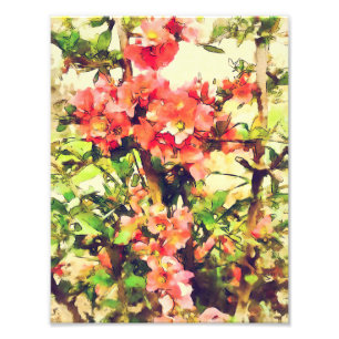 Rot Rosa Wasserfarben Blumenmuster 1 Fotodruck