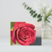 Rot, Rot, Rose Postkarte (Stehend Vorderseite)