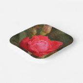 Rot, Rote Rose Pappteller (Gewinkelt)