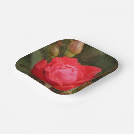 Rot, Rote Rose Pappteller (Gewinkelt)