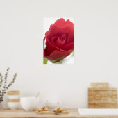 Rot, rote Rose .. Poster (Küche)