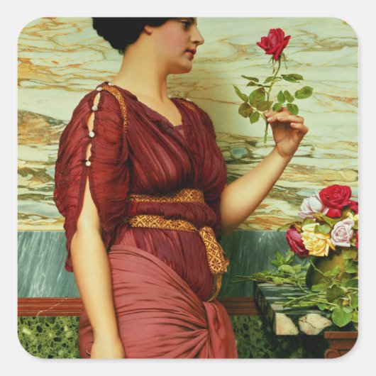 Rot, rote Rose Quadratischer Aufkleber (Vorderseite)