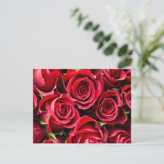 Rot, rote Rosen Postkarte (Stehend Vorderseite)