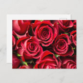 Rot, rote Rosen Postkarte (Vorne/Hinten)