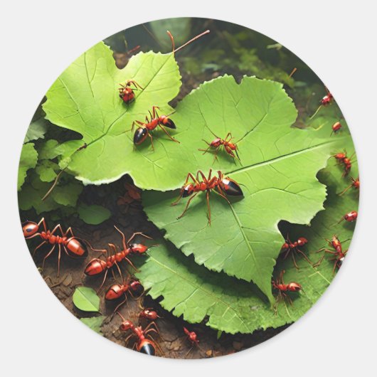 Rot Runder Aufkleber (Vorderseite)