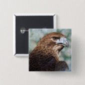 Rot-Schwanz Falkespritzpistole Button (Vorne & Hinten)