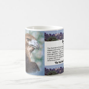 Rot-Schwanz Falkespritzpistole Kaffeetasse