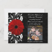 Rot, Schwarz und Weiß Scroll Gerbera Daisy Save The Date (Rückseite)