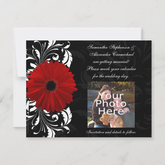 Rot, Schwarz und Weiß Scroll Gerbera Daisy Save The Date (Rückseite)