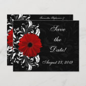 Rot, Schwarz und Weiß Scroll Gerbera Daisy Save The Date (Vorne/Hinten)