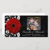 Rot, Schwarz und Weiß Scroll Gerbera Daisy Save The Date (Vorne/Hinten)