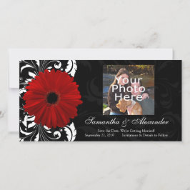 Rot, Schwarz und Weiß Scroll Gerbera Daisy Save The Date