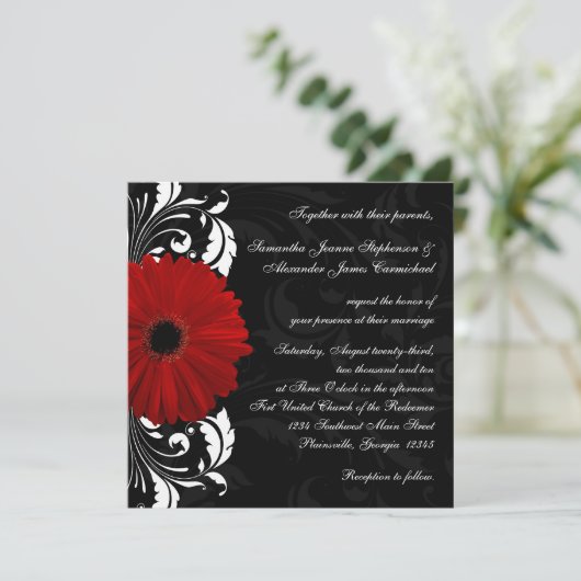 Rot, Schwarz und Weiß Scroll Gerbera Daisy Square Einladung (Stehend Vorderseite)