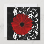 Rot, Schwarz und Weiß Scroll Gerbera Daisy Square Einladung (Rückseite)