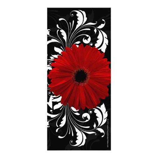 Rot, Schwarz, Weiß Gerbera Daisy Menu, Programm (Hinten)