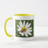 Rot-schwarzer Käfer auf weisser Margerite, Tasse (Links)