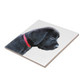 Rot - Schwarzes Labor Fliese (Seite)