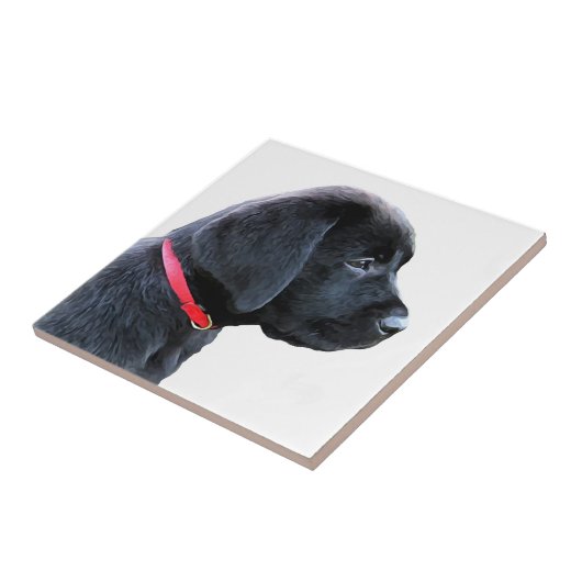 Rot - Schwarzes Labor Fliese (Seite)