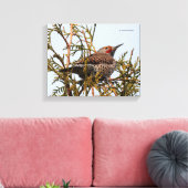 Rot-Shafted Northern Flicker in einem Baum Leinwanddruck (Insitu (Wohnzimmer))
