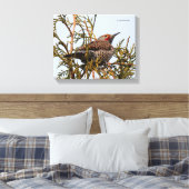 Rot-Shafted Northern Flicker in einem Baum Leinwanddruck (Insitu (Schlafzimmer))